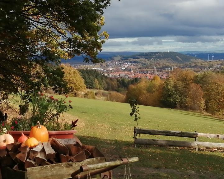 Steinberg Alm Zum Rosner